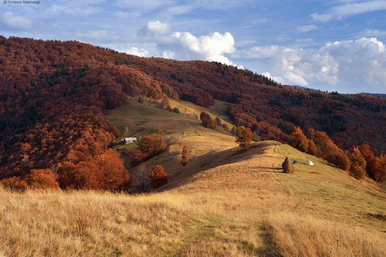 All colors of autumn in the Ukrainian Carpathians, photo 22