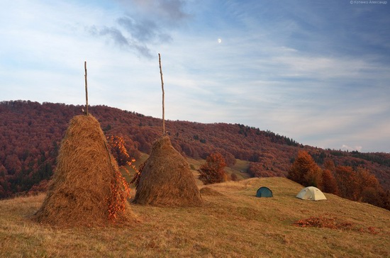 All colors of autumn in the Ukrainian Carpathians, photo 23