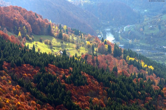 All colors of autumn in the Ukrainian Carpathians, photo 24