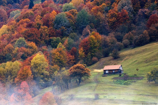 All colors of autumn in the Ukrainian Carpathians, photo 3