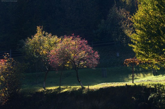 All colors of autumn in the Ukrainian Carpathians, photo 4