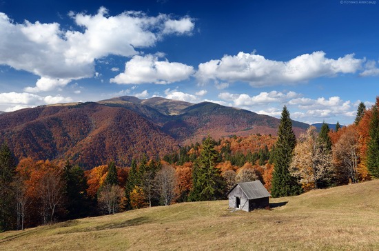 All colors of autumn in the Ukrainian Carpathians, photo 5