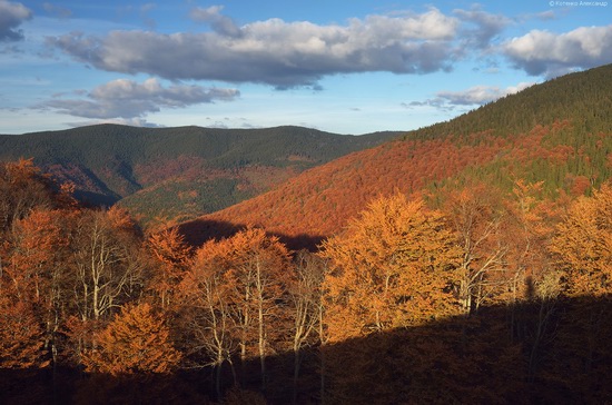 All colors of autumn in the Ukrainian Carpathians, photo 7