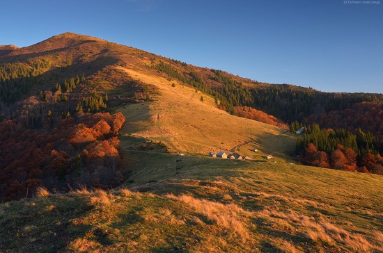 All colors of autumn in the Ukrainian Carpathians, photo 8