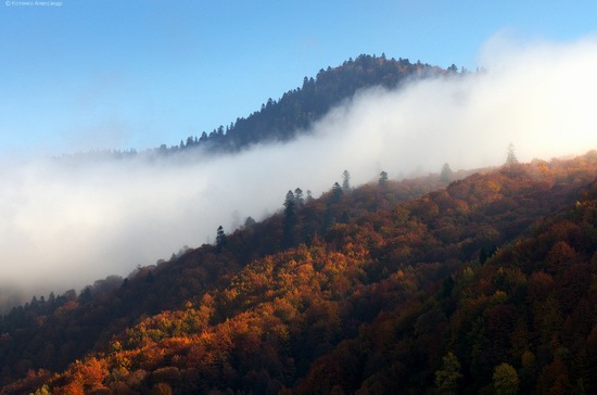 All colors of autumn in the Ukrainian Carpathians, photo 9