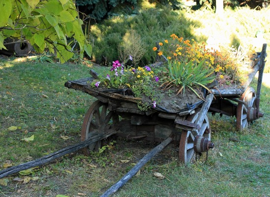 The landscape park in Buky, Kyiv region, Ukraine, photo 17