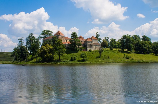 Svirzh Castle, Lviv region, Ukraine, photo 1
