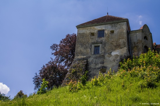 Svirzh Castle, Lviv region, Ukraine, photo 14