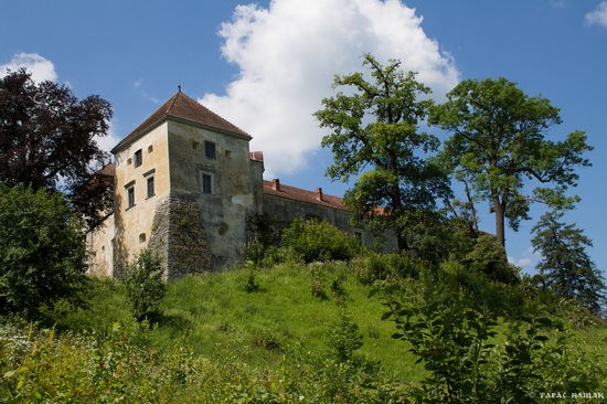 Svirzh Castle, Lviv region, Ukraine, photo 15