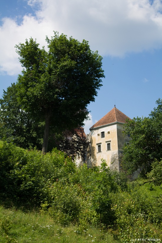 Svirzh Castle, Lviv region, Ukraine, photo 16