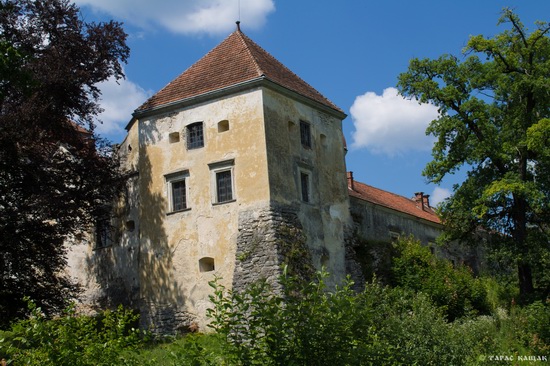 Svirzh Castle, Lviv region, Ukraine, photo 17