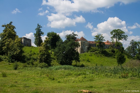 Svirzh Castle, Lviv region, Ukraine, photo 19