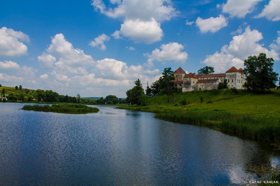 Svirzh Castle, Lviv region, Ukraine, photo 3