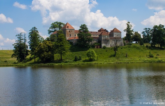Svirzh Castle, Lviv region, Ukraine, photo 4