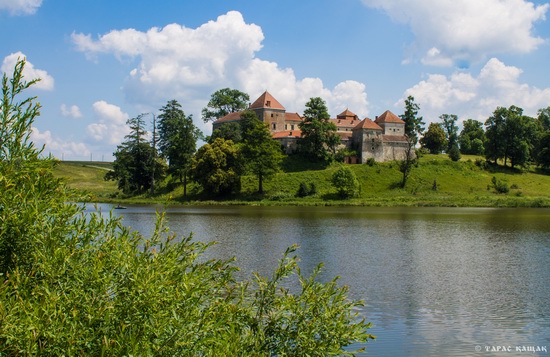 Svirzh Castle, Lviv region, Ukraine, photo 5