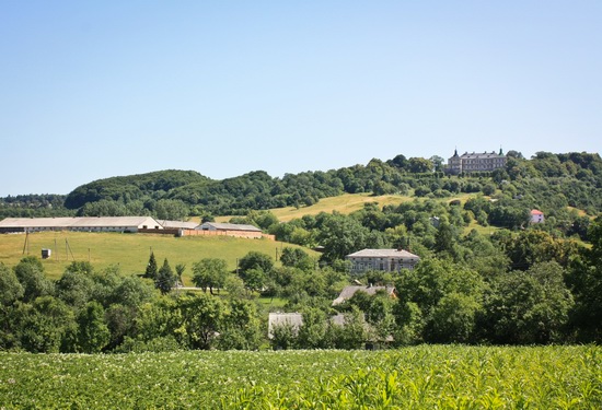 Pidhirtsi Castle, Lviv region, Ukraine, photo 25