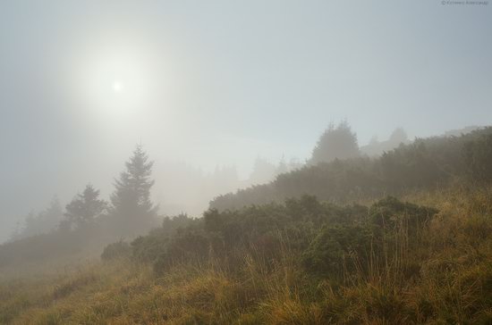 Autumn in Hutsul Alps, the Carpathians, Ukraine, photo 20