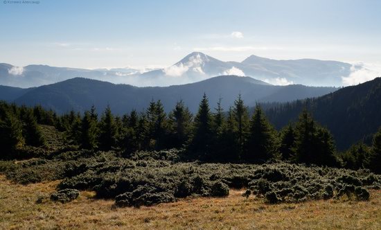 Autumn in Hutsul Alps, the Carpathians, Ukraine, photo 22