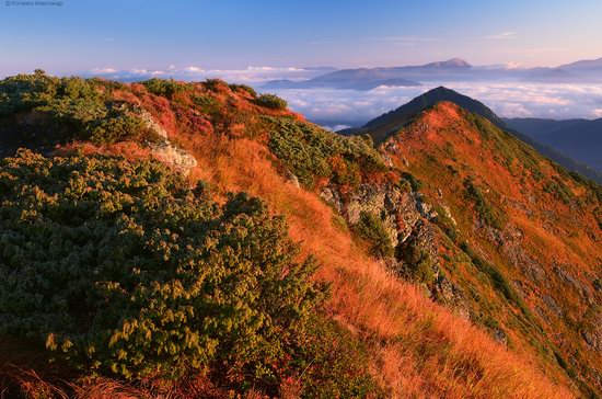 Autumn in Hutsul Alps, the Carpathians, Ukraine, photo 23