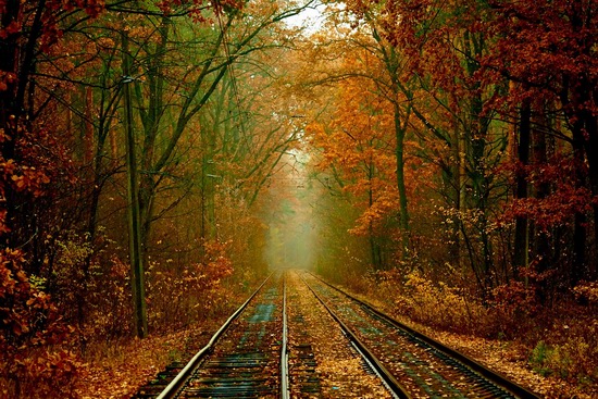 Autumn, the Kyiv Tram, Ukraine, photo 1