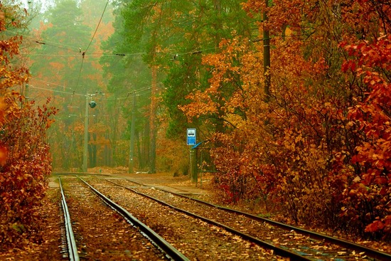 Autumn, the Kyiv Tram, Ukraine, photo 2