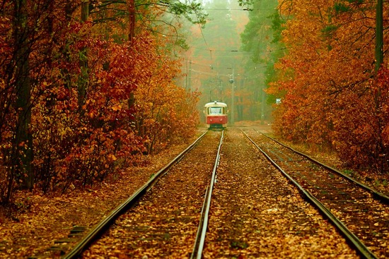 Autumn, the Kyiv Tram, Ukraine, photo 3