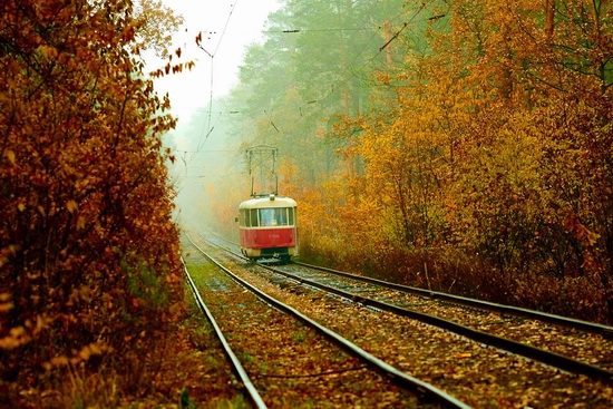 Autumn, the Kyiv Tram, Ukraine, photo 5