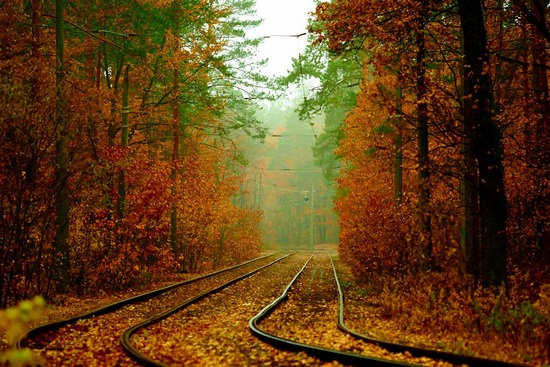 Autumn, the Kyiv Tram, Ukraine, photo 6