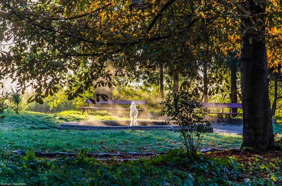 Golden Autumn in Alexandria Dendrological Park, Bila Tserkva, Ukraine, photo 11