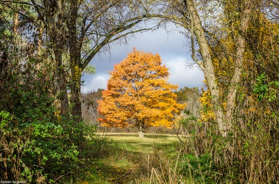 Golden Autumn in Alexandria Dendrological Park, Bila Tserkva, Ukraine, photo 15