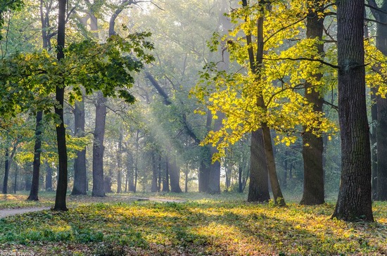 Golden Autumn in Alexandria Dendrological Park, Bila Tserkva, Ukraine, photo 16