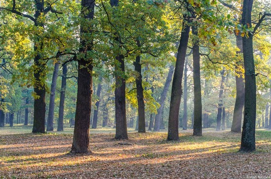 Golden Autumn in Alexandria Dendrological Park, Bila Tserkva, Ukraine, photo 18