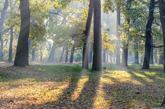 Golden Autumn in Alexandria Dendrological Park, Bila Tserkva, Ukraine, photo 19