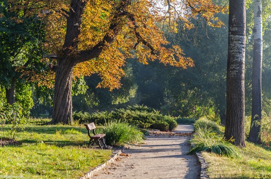 Golden Autumn in Alexandria Dendrological Park, Bila Tserkva, Ukraine, photo 2