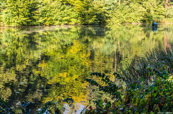 Golden Autumn in Alexandria Dendrological Park, Bila Tserkva, Ukraine, photo 6