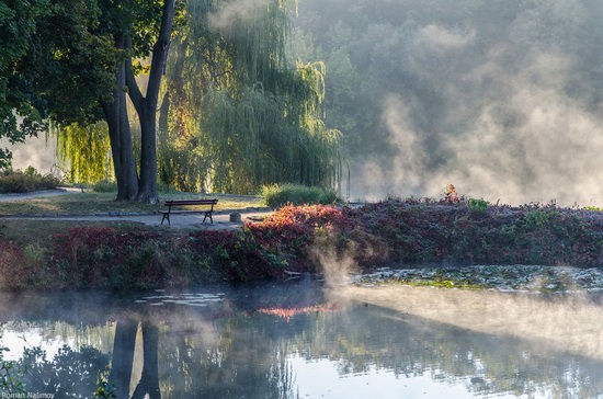 Golden Autumn in Alexandria Dendrological Park, Bila Tserkva, Ukraine, photo 9