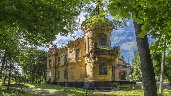 Uvarova Palace in Turchynivka, Zhytomyr region, Ukraine, photo 11