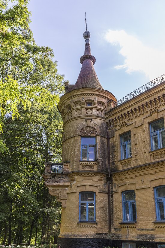 Uvarova Palace in Turchynivka, Zhytomyr region, Ukraine, photo 9