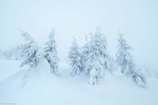 Winter fairytale of the Ukrainian Carpathians, photo 1