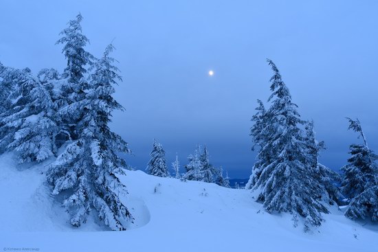 Winter fairytale of the Ukrainian Carpathians, photo 10