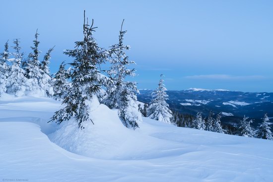 Winter fairytale of the Ukrainian Carpathians, photo 11