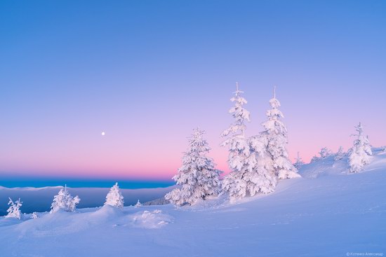 Winter fairytale of the Ukrainian Carpathians, photo 13