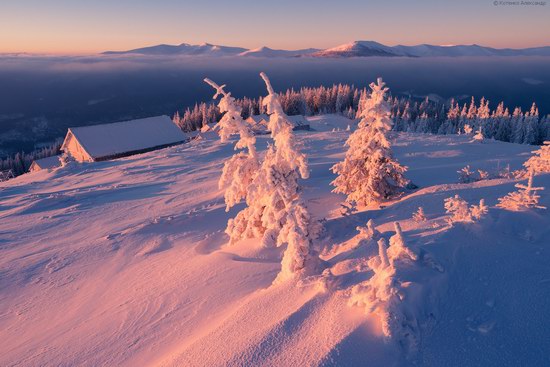 Winter fairytale of the Ukrainian Carpathians, photo 15