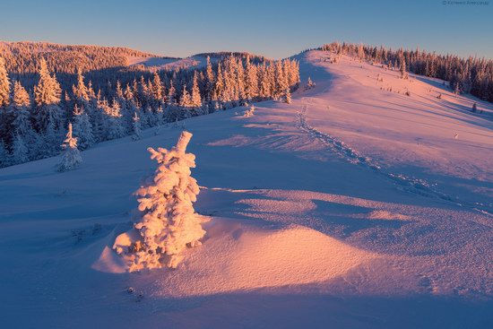 Winter fairytale of the Ukrainian Carpathians, photo 16