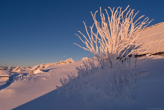 Winter fairytale of the Ukrainian Carpathians, photo 17