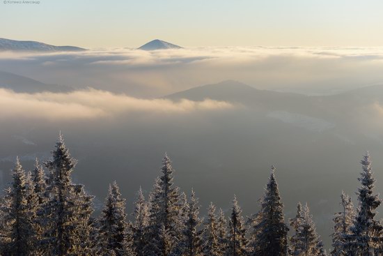 Winter fairytale of the Ukrainian Carpathians, photo 20