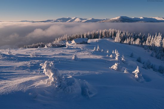 Winter fairytale of the Ukrainian Carpathians, photo 22