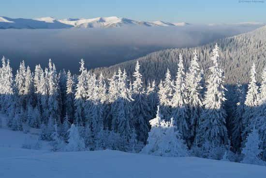 Winter fairytale of the Ukrainian Carpathians, photo 24