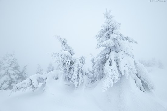 Winter fairytale of the Ukrainian Carpathians, photo 3