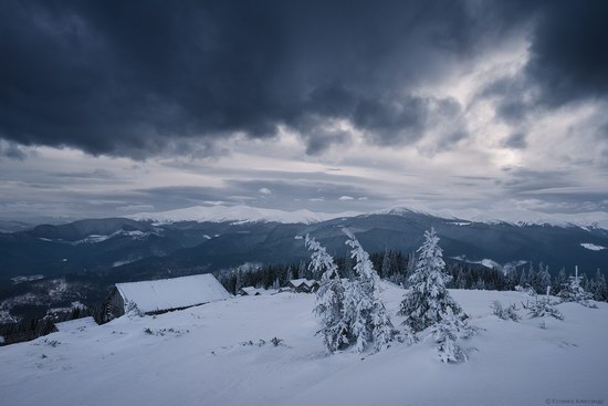 Winter fairytale of the Ukrainian Carpathians, photo 7